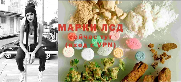 прущие грибы Бугульма